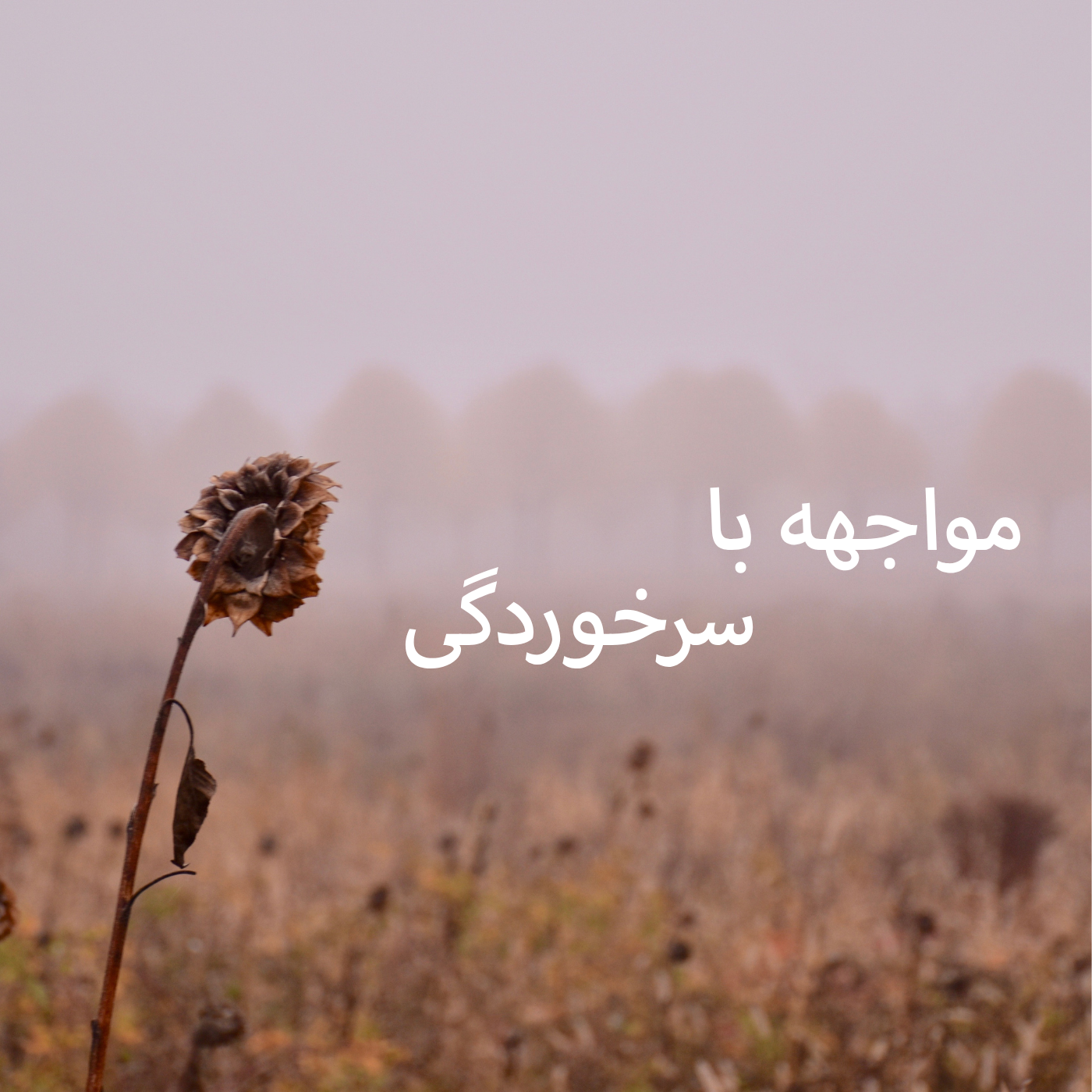 کاور چگونه خود را در خداوند تقویت کنیم؟