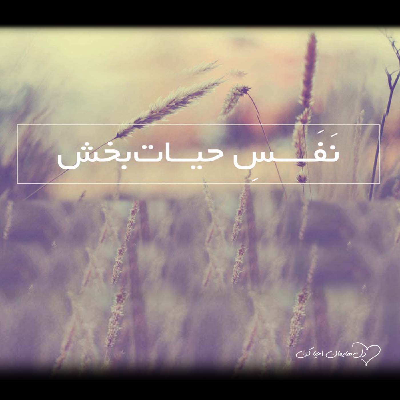 کاور نفسِ حیات بخش - قسمت اول