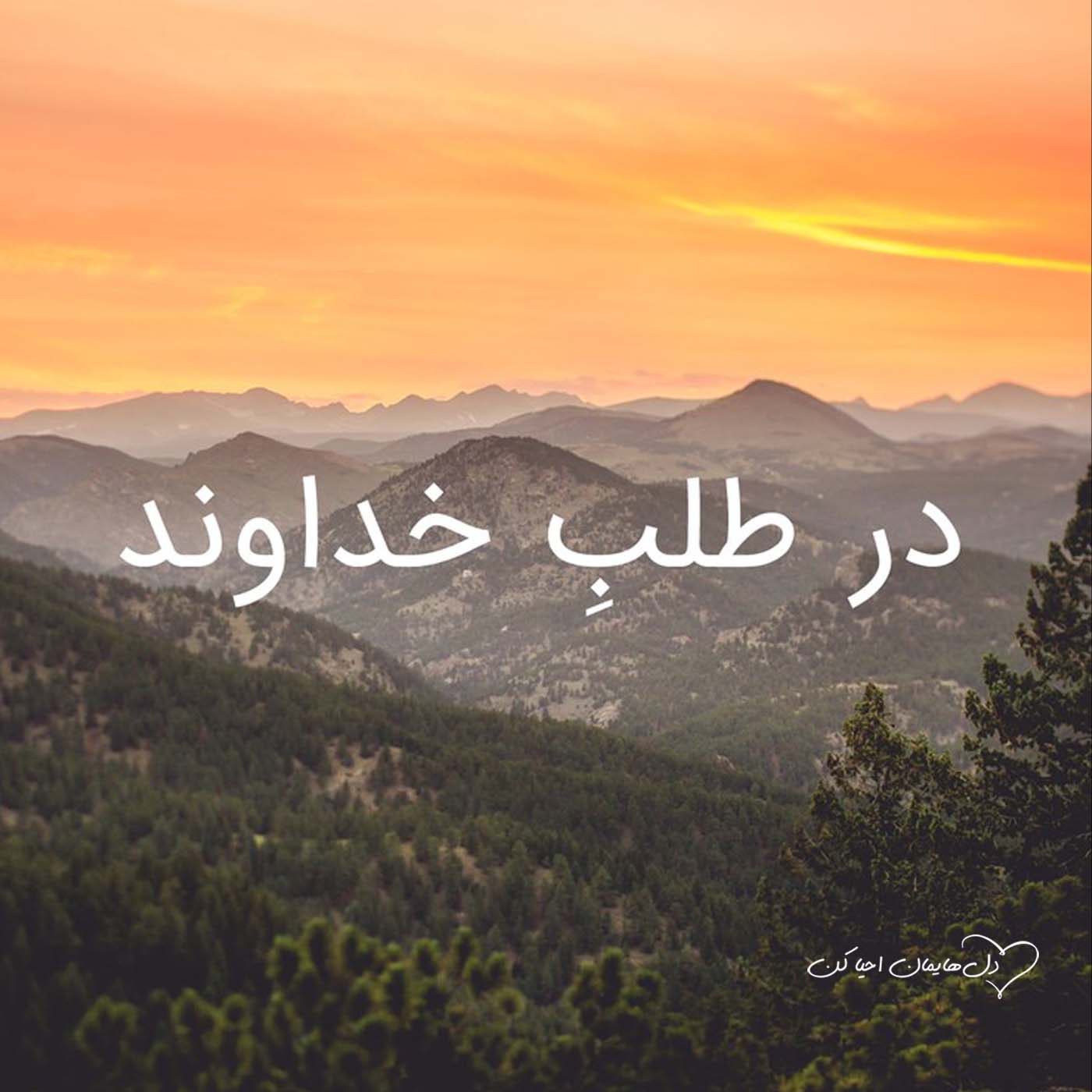 کاور وجدان پاک