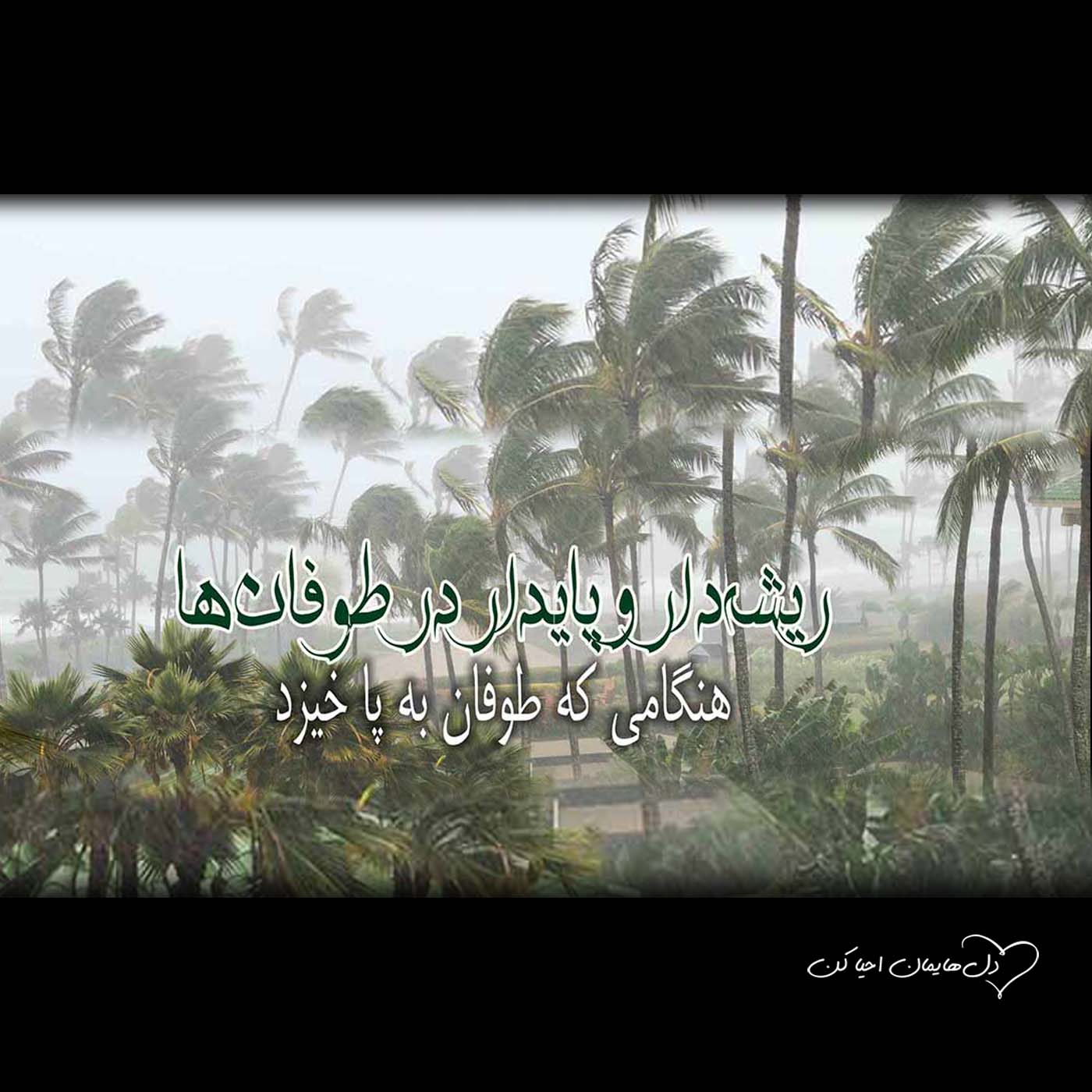 کاور هنگامی که طوفان به پا خیزد