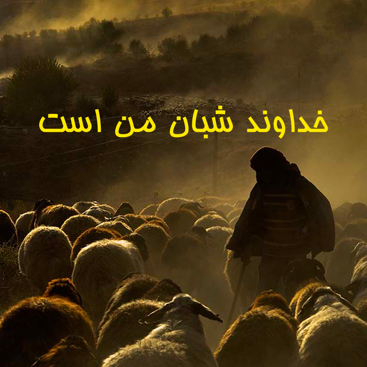 کاور درهٔ تاریک
